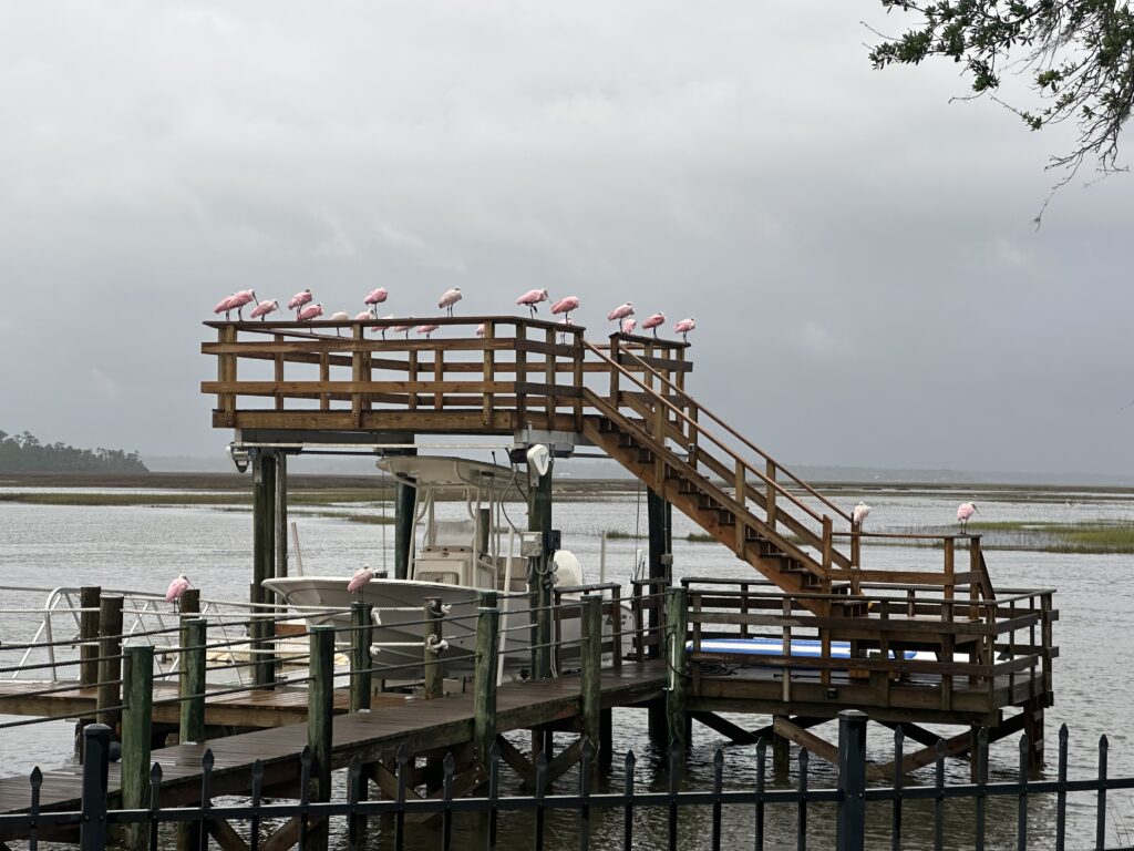 Observation Decks, Marine Construction Northeast Florida, Boat Lift Covers, Jacksonville Dock Builders, Double Decker Docks Florida.